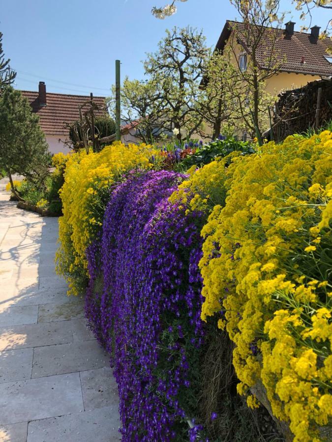 Ferienwohnungen Ries Eusserthal المظهر الخارجي الصورة