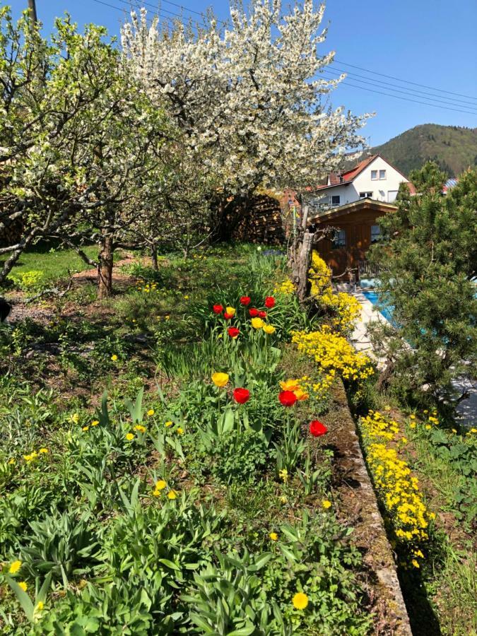 Ferienwohnungen Ries Eusserthal المظهر الخارجي الصورة